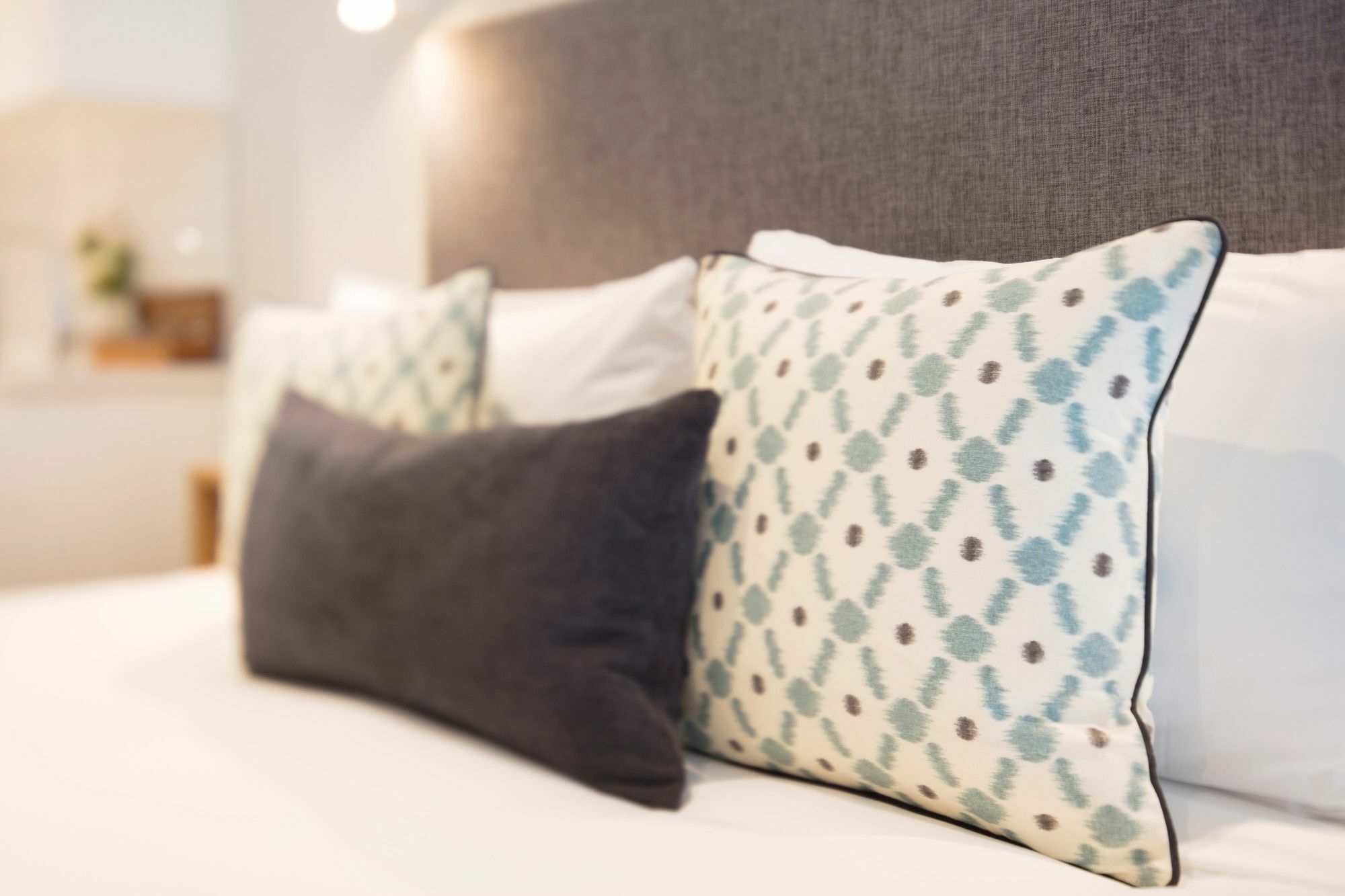 Beechwood Boutique Accommodation Dunedin Extérieur photo