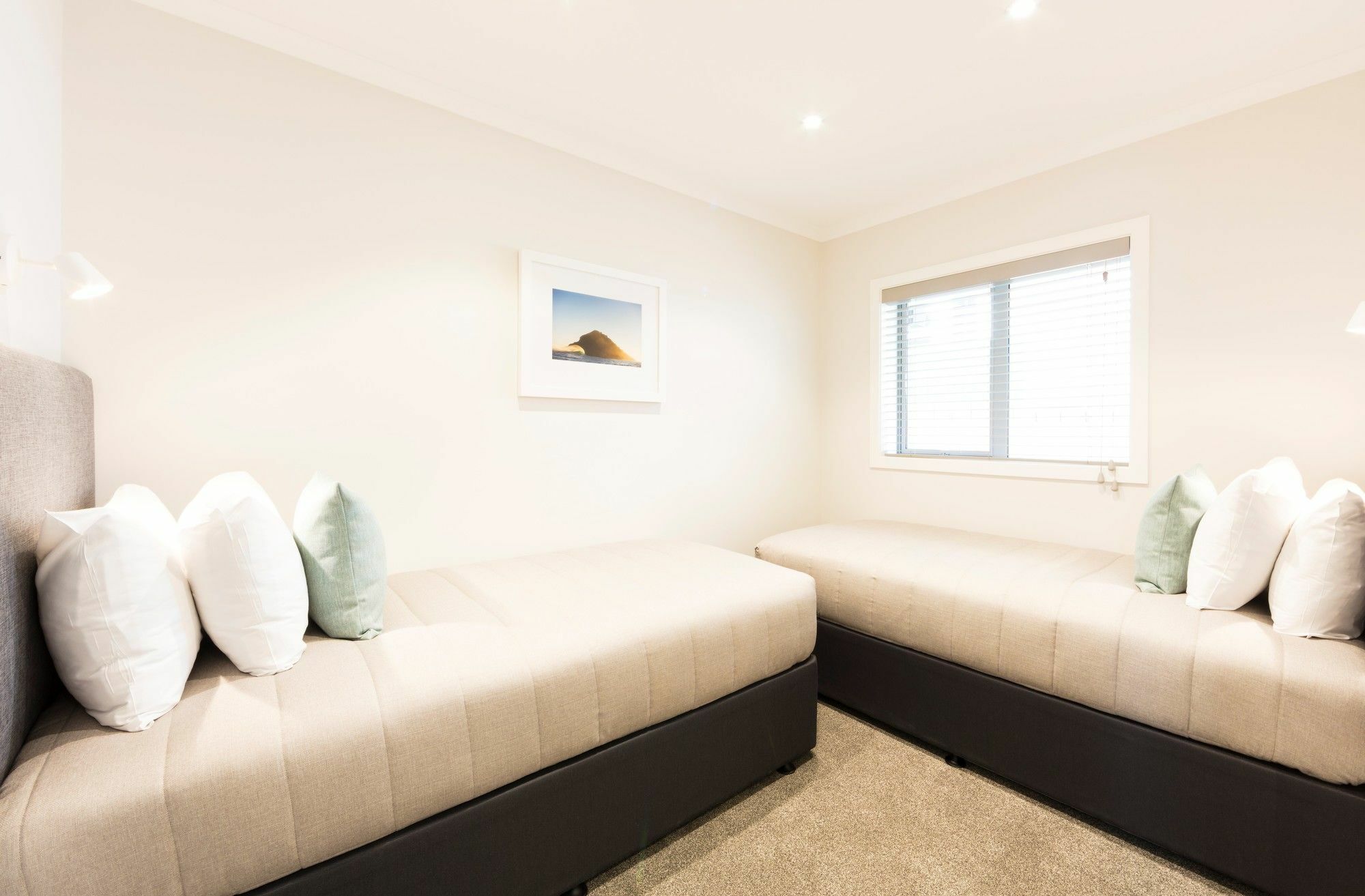 Beechwood Boutique Accommodation Dunedin Extérieur photo