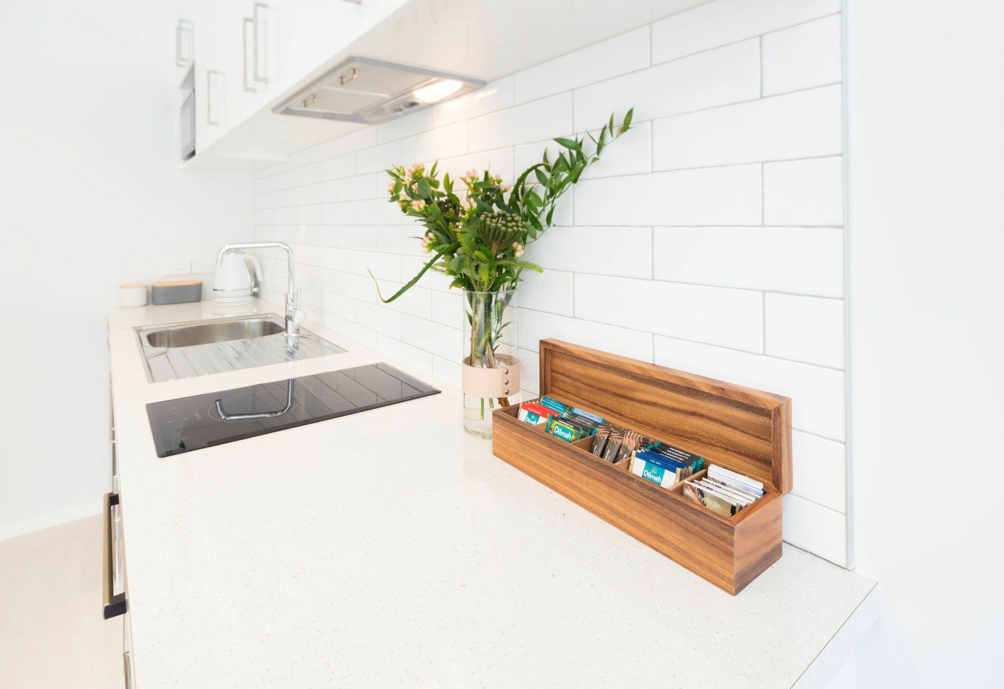 Beechwood Boutique Accommodation Dunedin Extérieur photo